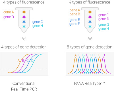 일반적인 实时 PCR 기술과 PANA S-Melting™ 实时 PCR 기술의 비교사진